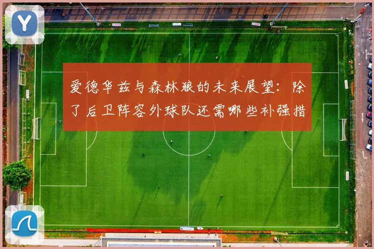 爱德华兹与森林狼的未来展望：除了后卫阵容外球队还需哪些补强措施
