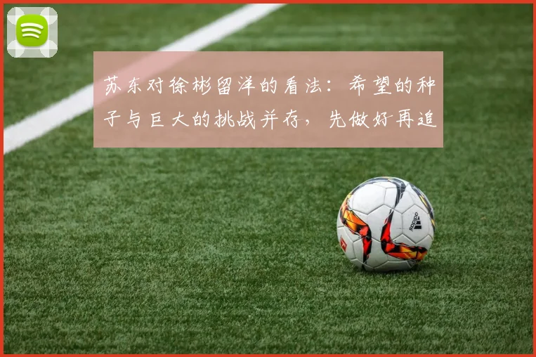 苏东对徐彬留洋的看法：希望的种子与巨大的挑战并存，先做好再追求完美
