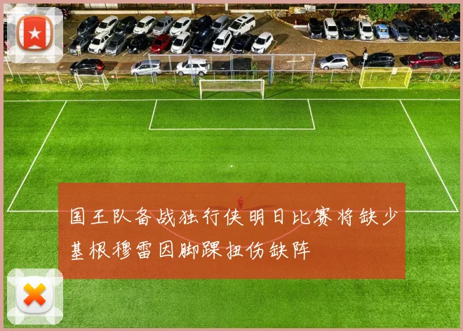 国王队备战独行侠明日比赛将缺少基根穆雷因脚踝扭伤缺阵